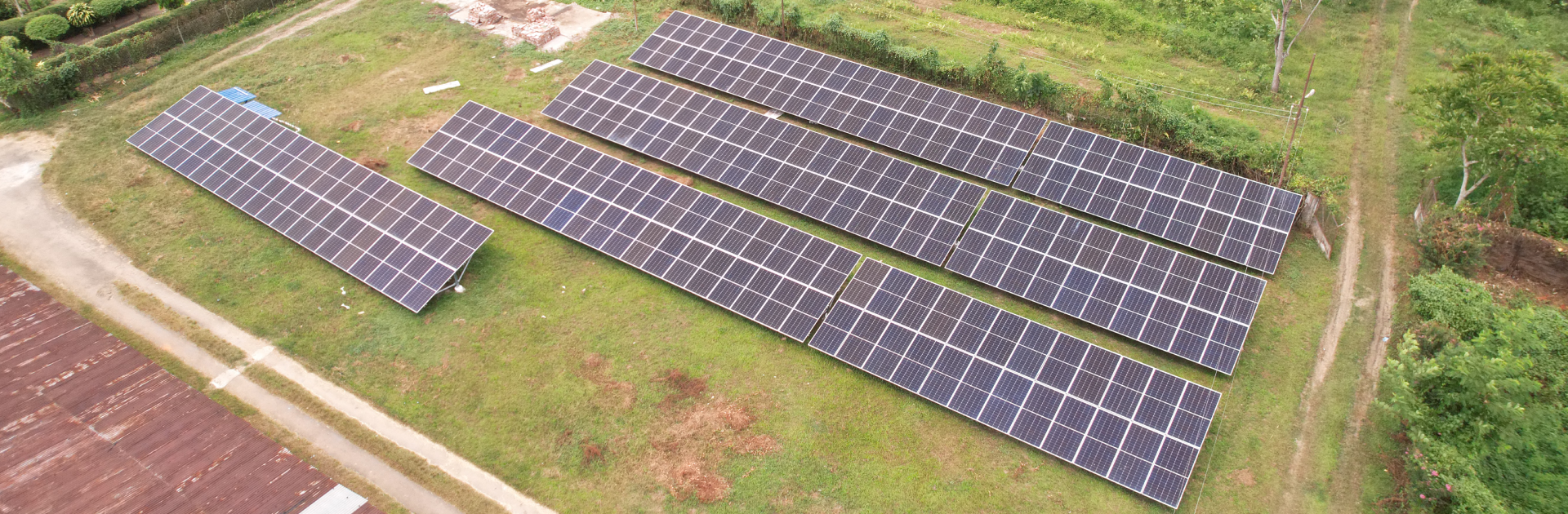 Chamong Tea Gardens - Gauri