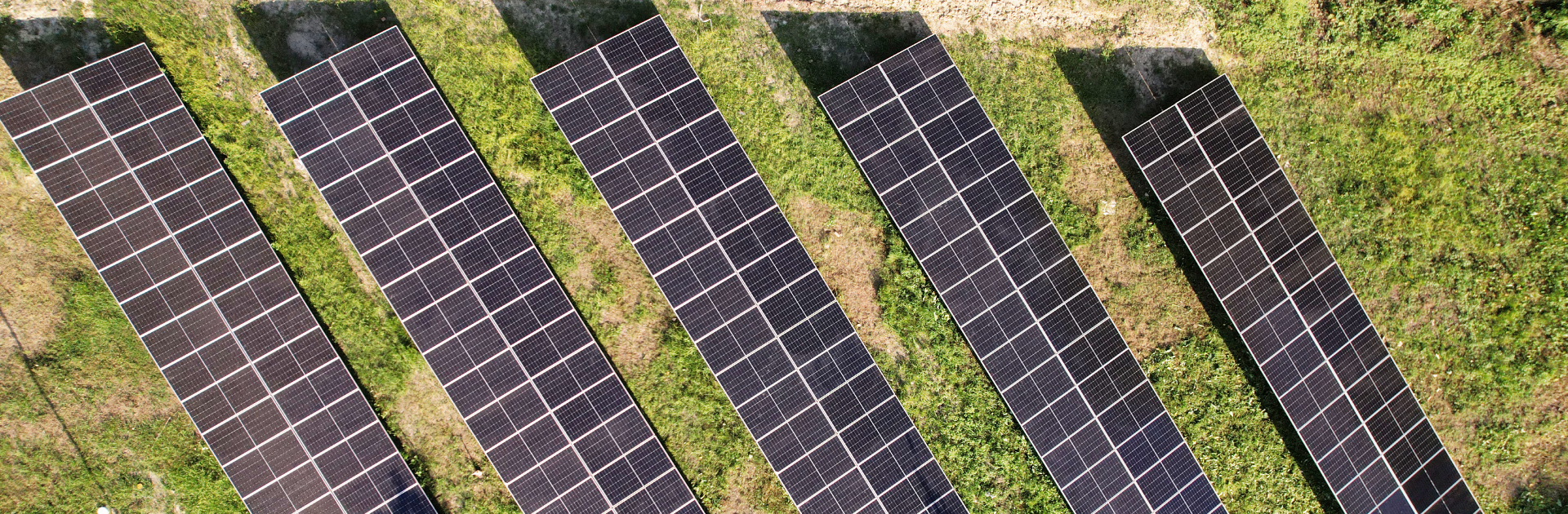 Chamong Tea Gardens -Maud