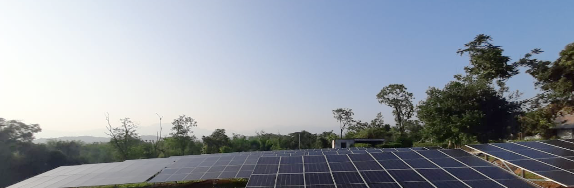 Jatinga Agro Tech Pvt Ltd (Larsingah Tea)