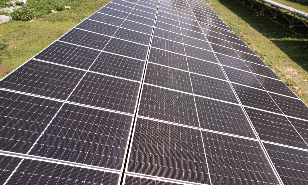 Chamong Tea Gardens -Sankar