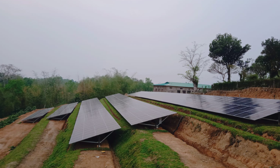 Doyapore Tea & Industries Pvt Ltd