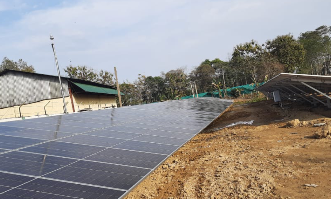 Jorbagh Tea Company (Lingripokrie)