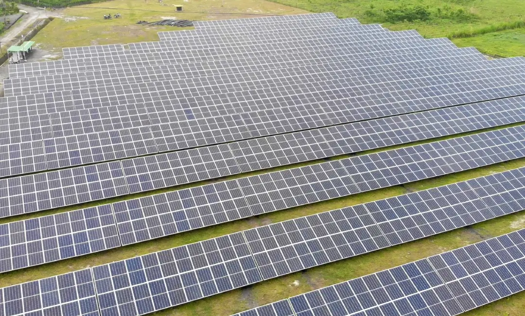 NewLands Tea Estate (Part of AMW Group)